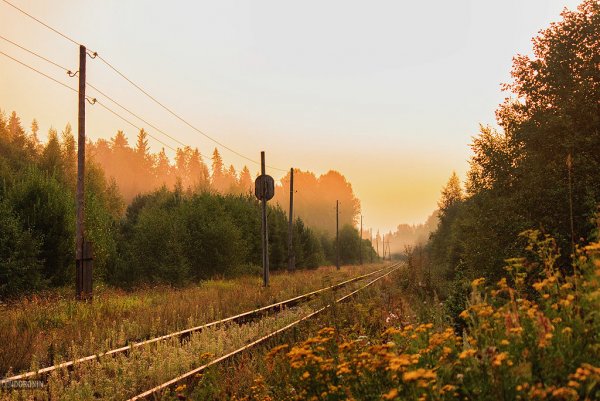 Железнодорожный пейзаж