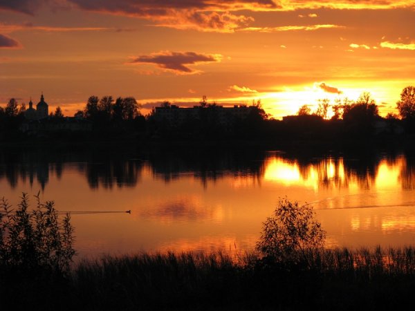 Природа в городе в Бологое
