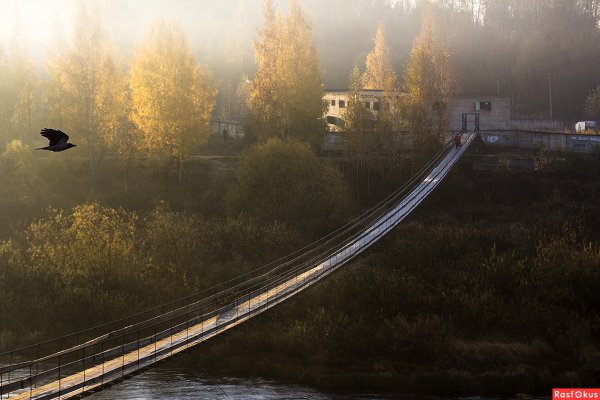 Боровичи подвесной мост