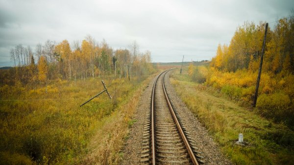 Бологое болота