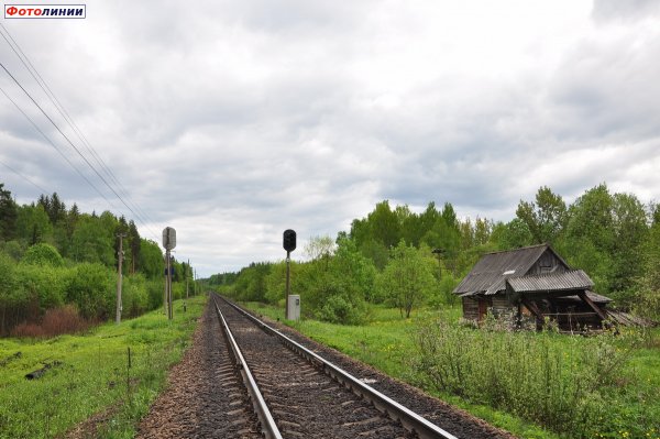 Бологое островок