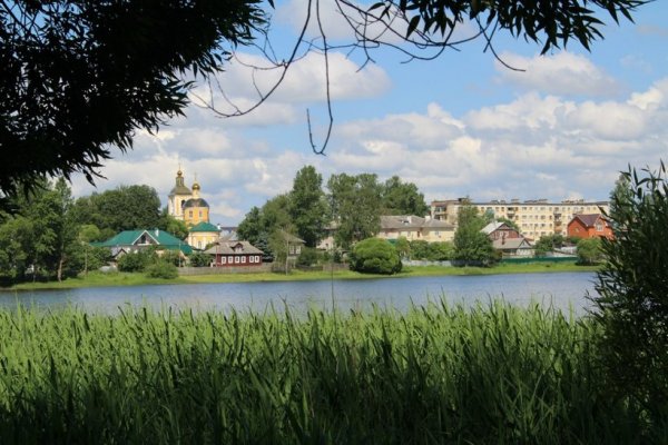 Бологое природа