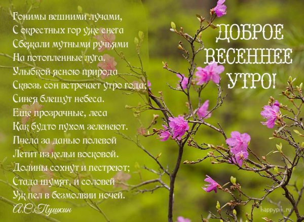 Стихи с добрым утром