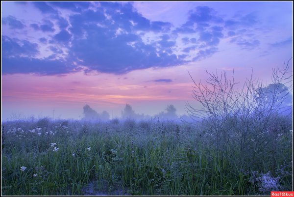 Июльское утро природа