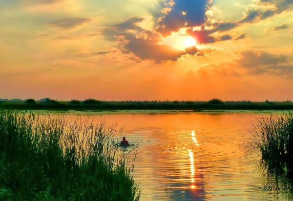Утренний рассвет природа