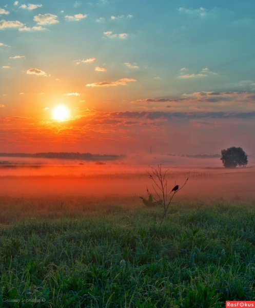 Утренняя Заря в городе