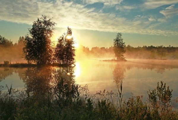 Утренняя Зорька Заря