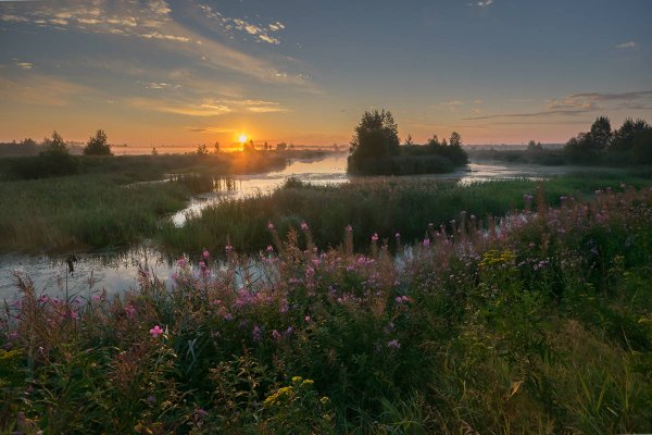 Утренний рассвет