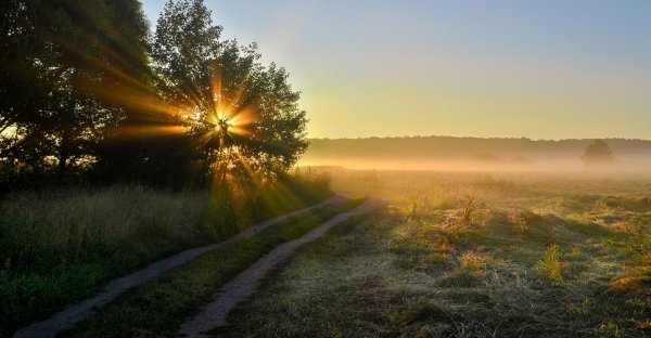 С рассветом утренней зари