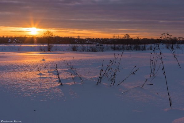 Февральское утро картинки