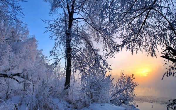 Солнечное зимнее утро