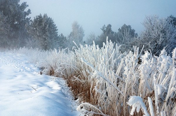Фото февральское утро