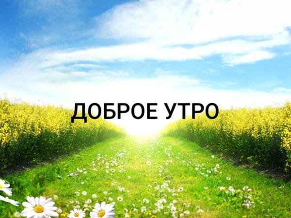 Доброе утро