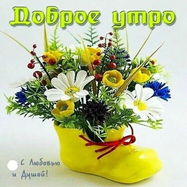 Полевые цветы с пожеланиями