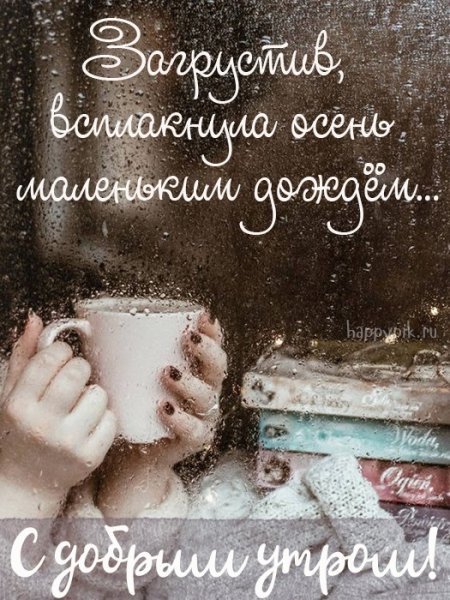 Доброе дождливое утро