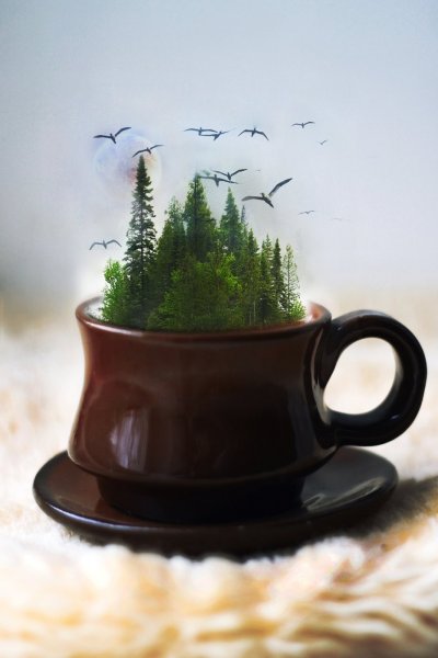 Природа в кружке