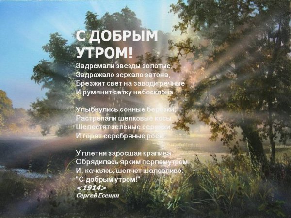 Стихи с добрым утром