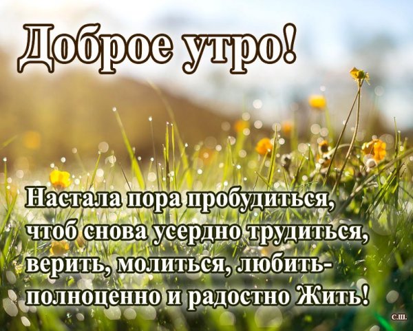 Проснулись доброе утро