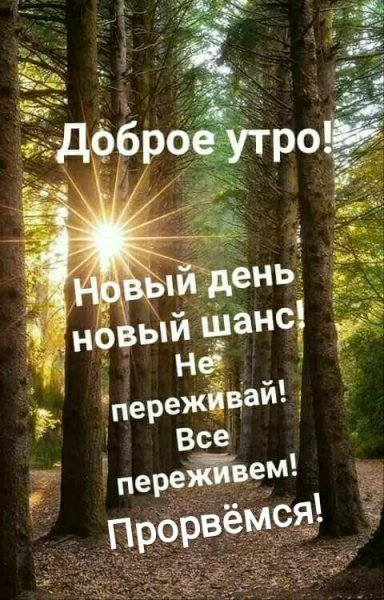 Мудрые цитаты с добрым утром