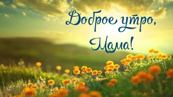 С добрым утром мама