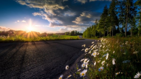 Природа дорога солнце