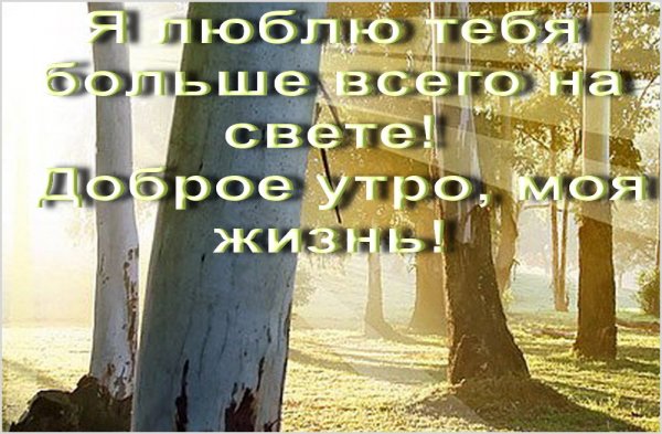 С добрым утром любимый картинки с надписями