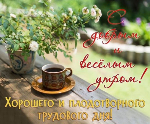 Доброе утречко милый