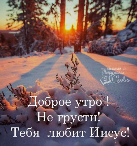Шапкино Ивановская область