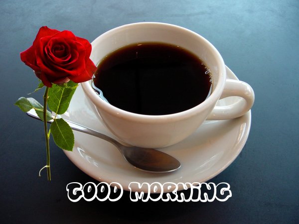Good morning (доброе утро!)