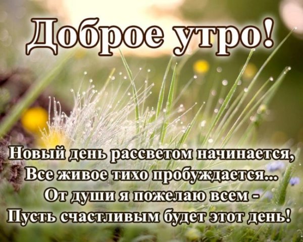 Здравствуй утро и новый день