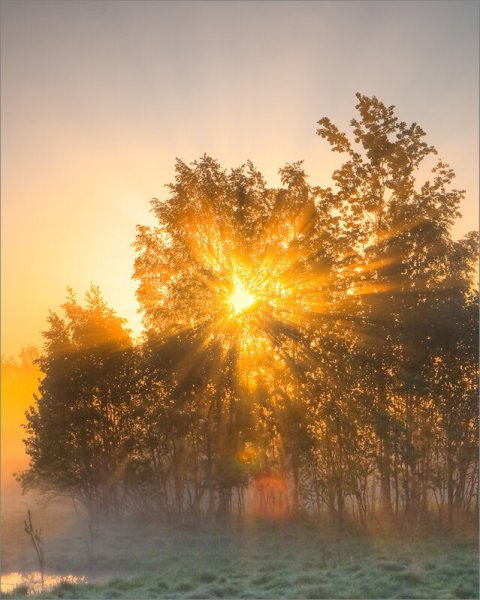 Утреннее солнце