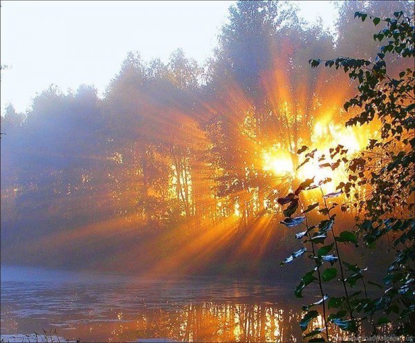 Утреннее осеннее солнце