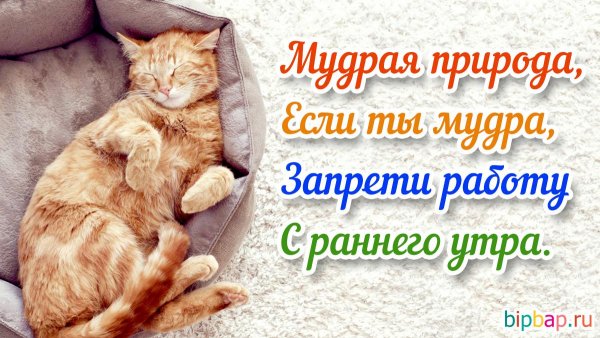 С добрым утром вторника прикольные