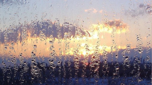 Дождь в летний день