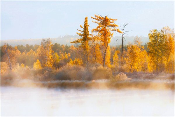Река рассвет Золотая осень