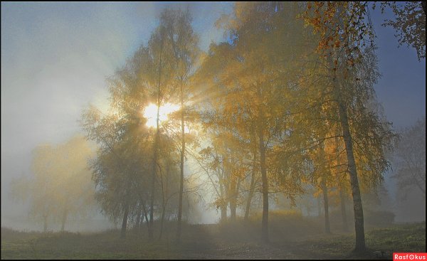 Поздняя осень солнце
