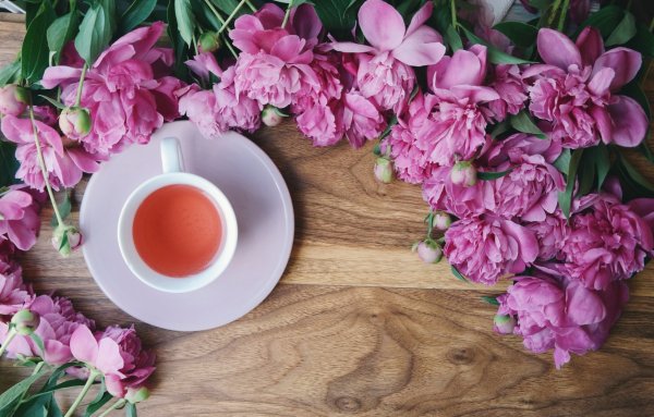 Пион Pink Tea Cup