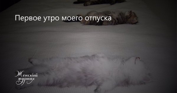 Первое утро отпуска