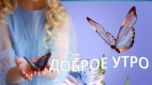 Открытки с бабочками с добрым утор