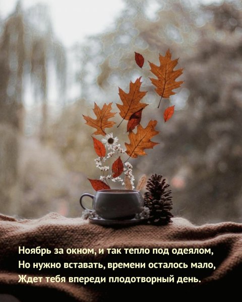 Утро ноября
