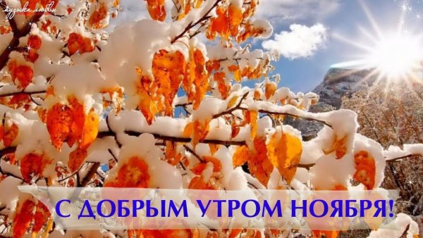 С добрым утром ноября