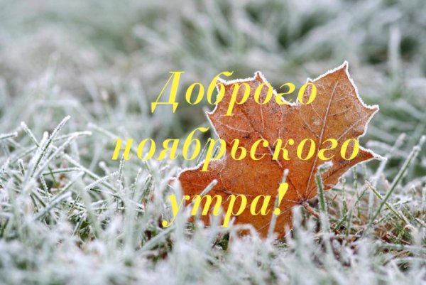 С добрымым утром ноября