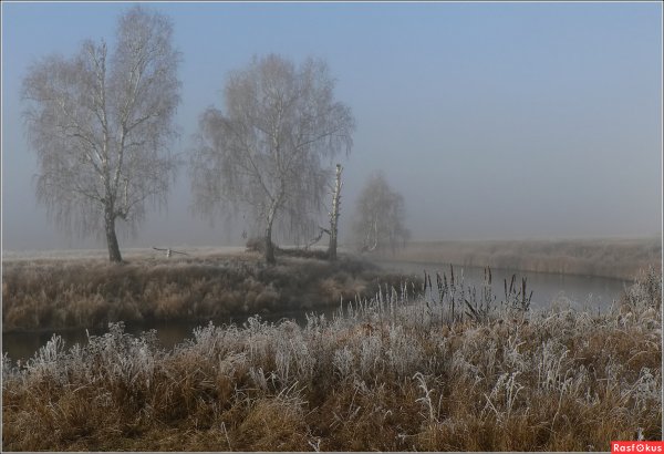 Туманное утро ноября