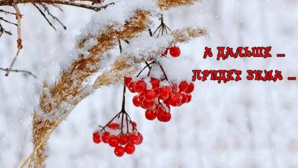 Доброемутро скоро зима