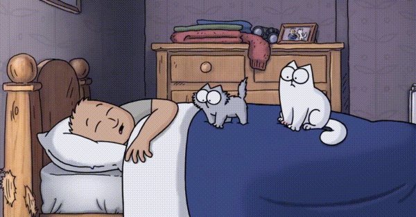 Коь Саймон будит хозяина