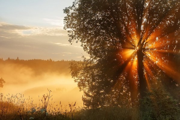 Рассвет лучи солнца