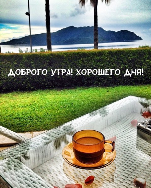 Доброе рабочее утро