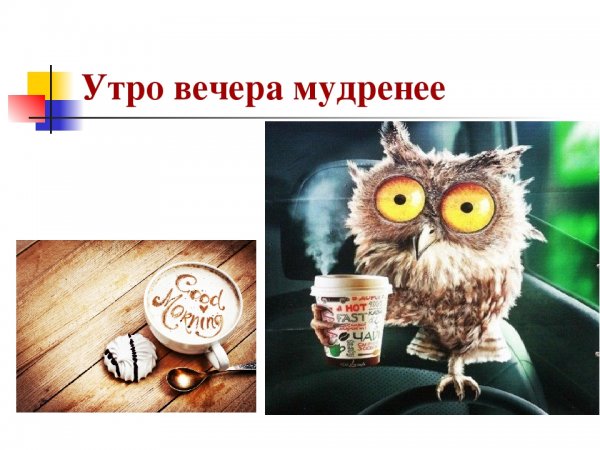 Михаил Соловьев художник иллюстратор