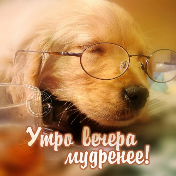 Утро вечера мудренее прикол