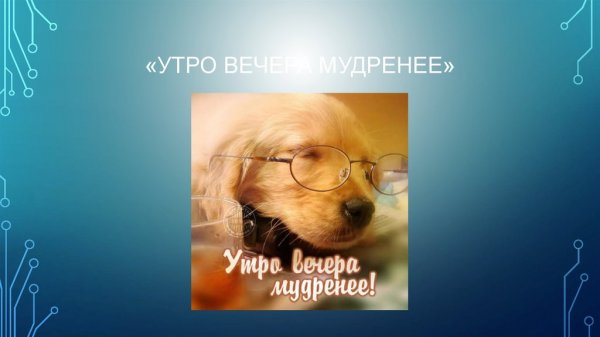 Утро вечера мудренее